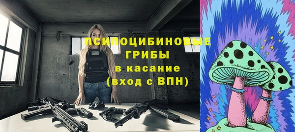 mix Козельск