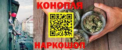 крисы Краснодар