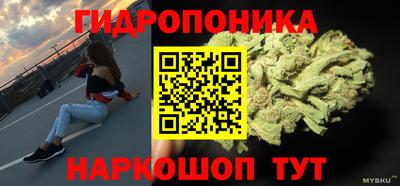 крисы Краснодар