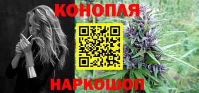 крисы Краснодар