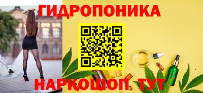 крисы Краснодар